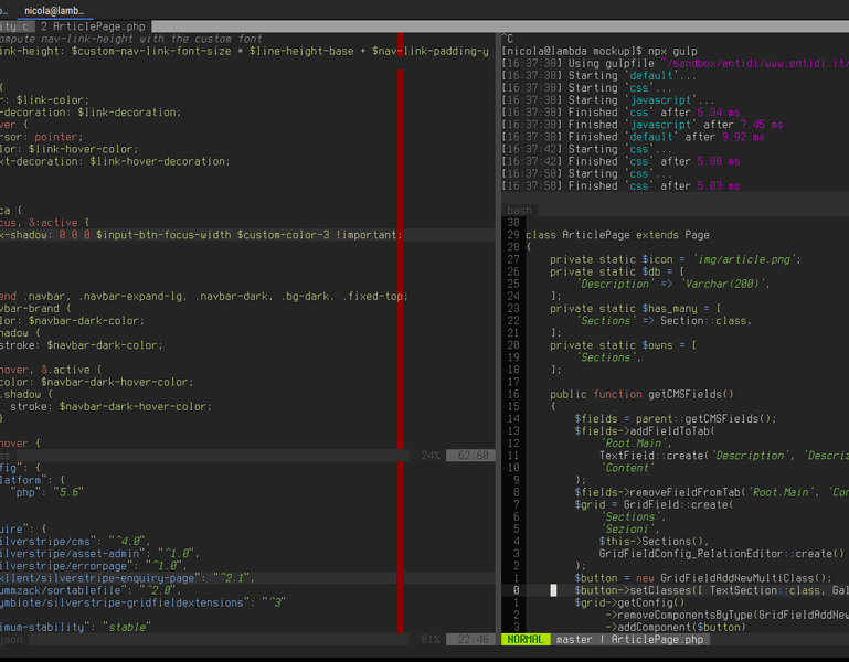 Code editing inside a typical VIM session